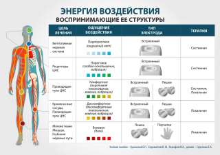 СКЭНАР-1-НТ (исполнение 01)  в Самаре купить Медицинский интернет магазин - denaskardio.ru 